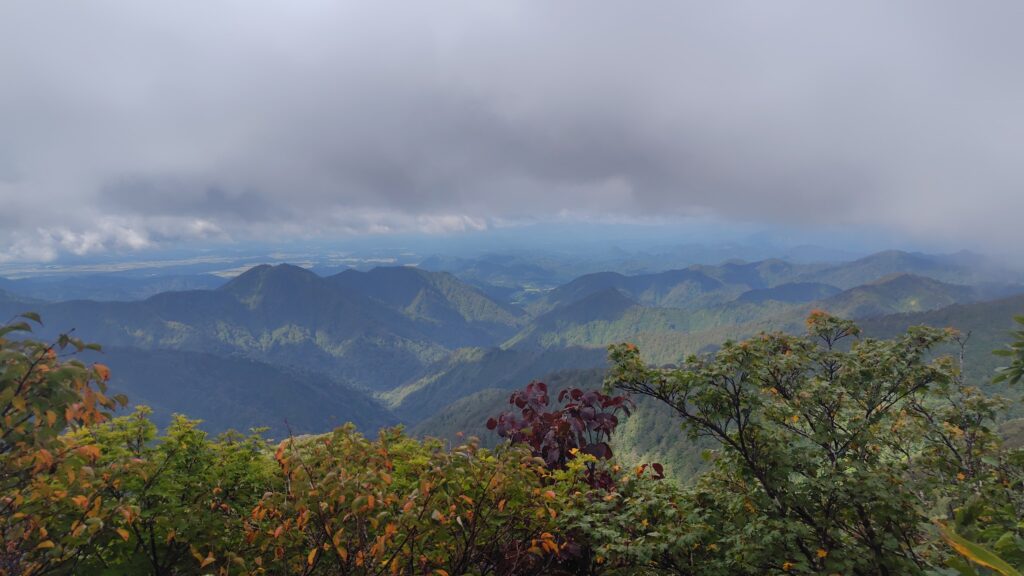稜線の分岐手前から見上げた登山道