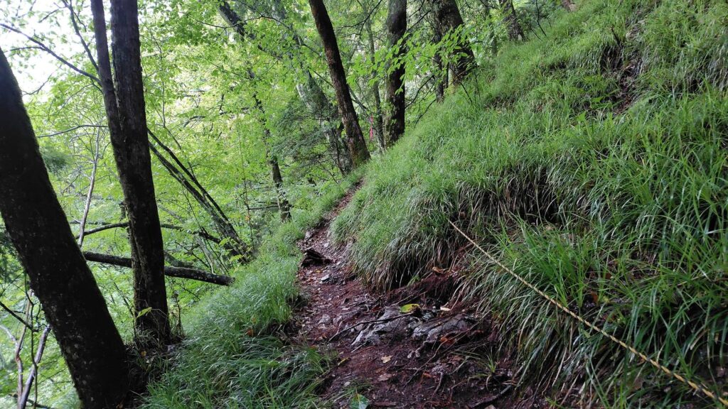 崩落地の迂回路。ロープが張られた歩きやすい道