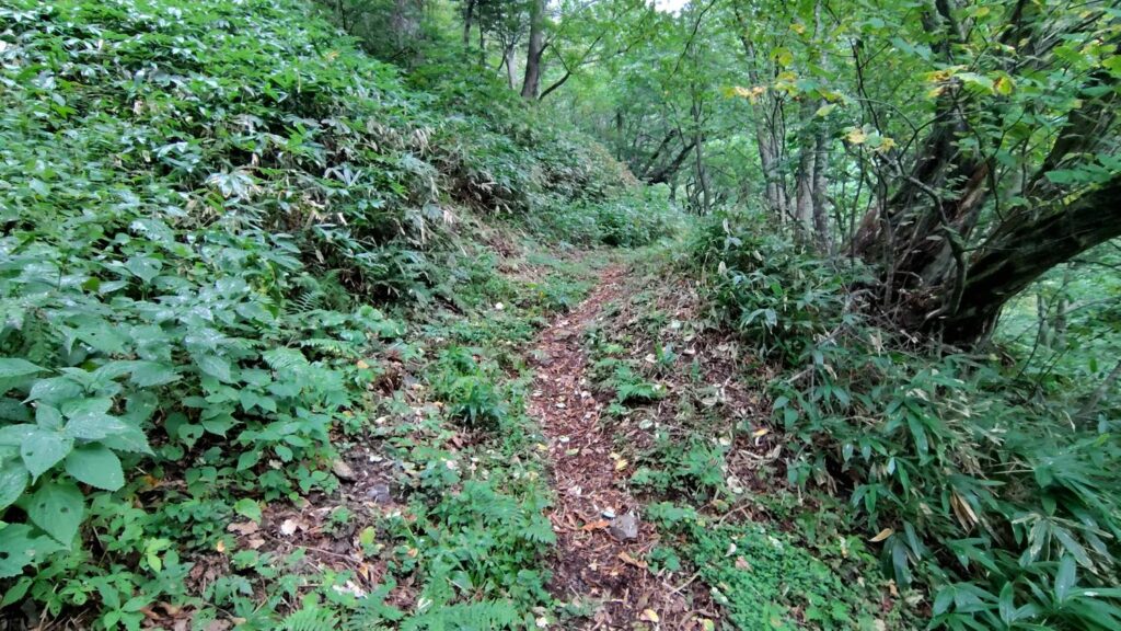 徳本峠から下る歩きやすい登山道