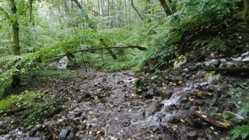 島々谷の渡渉点。石を伝って沢を渡る