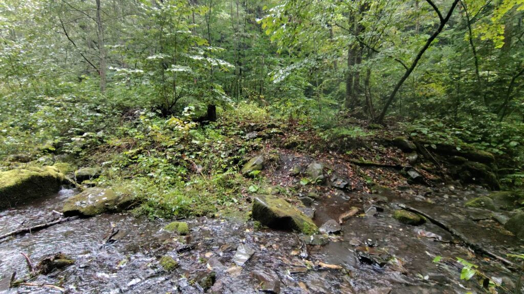 暗い中で渡渉点を見失った地点。沢が広がり進路が分かりにくい