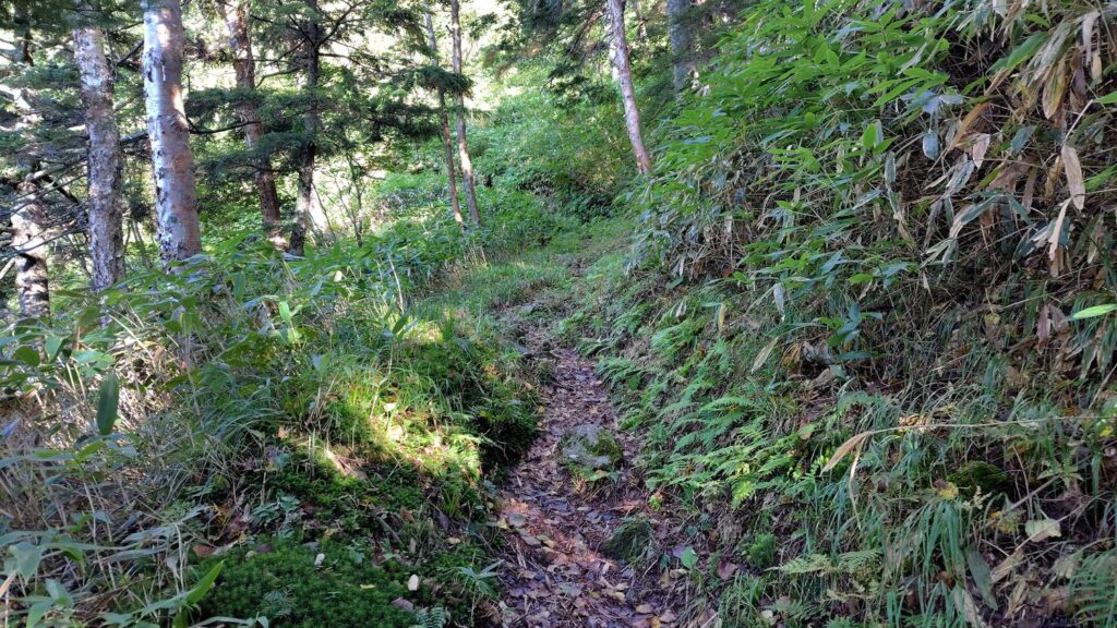 徳本峠へ続くつづら折りの急な登り