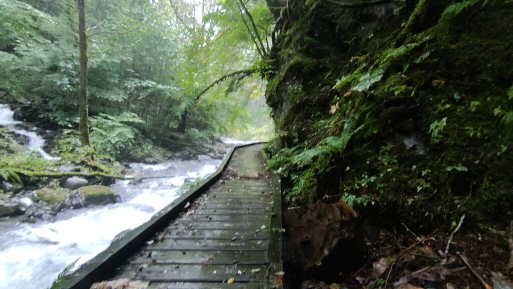 島々谷のコースにかかる濡れて滑りやすい木の橋