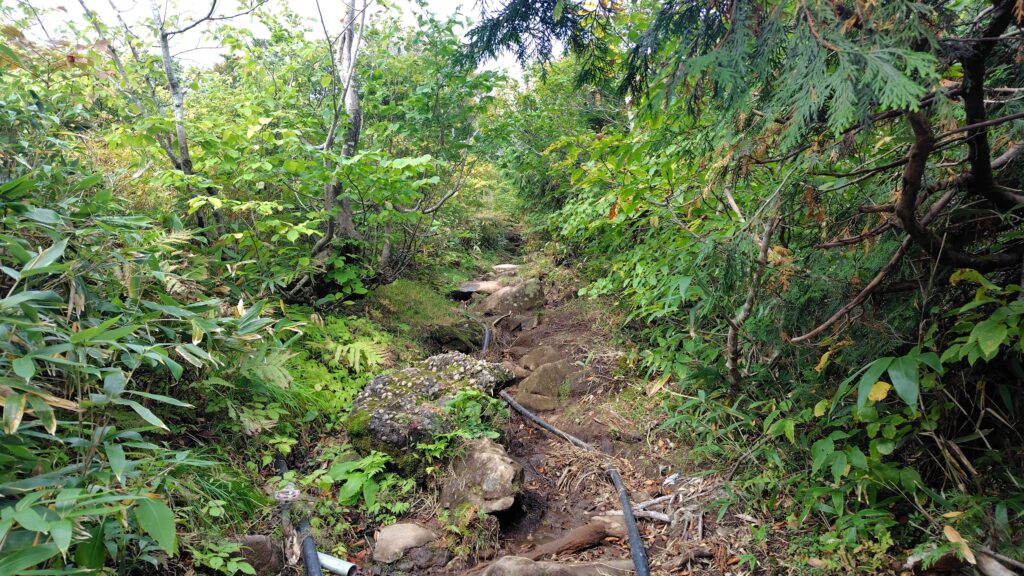 登山口のすぐ先で岩を越えて登る東栗駒コース