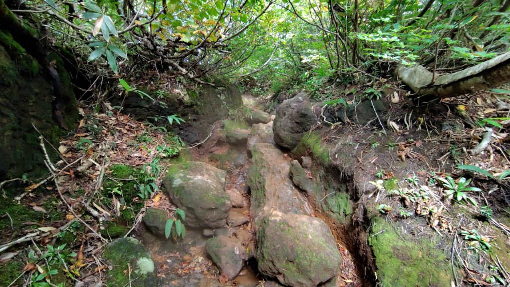 東栗駒コース序盤の大きな岩