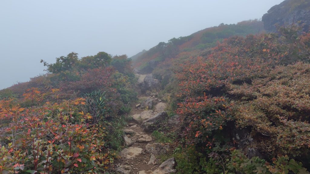 東栗駒山から栗駒山へ続く紅葉の稜線