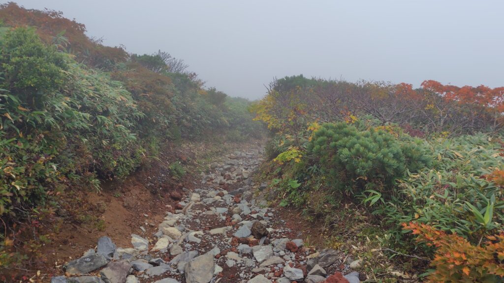 栗駒山から中央コースを下る