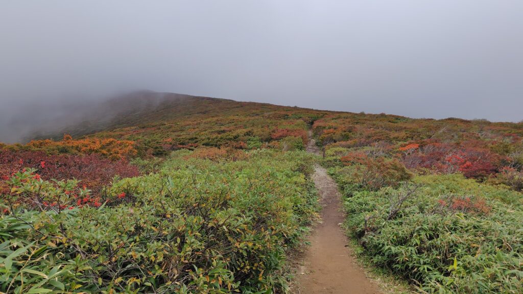 紅葉に染まる斜面と山頂にかかるガス
