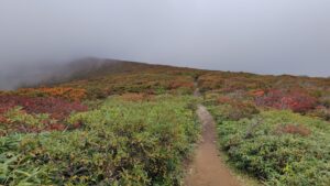 紅葉に染まる斜面と山頂にかかるガス