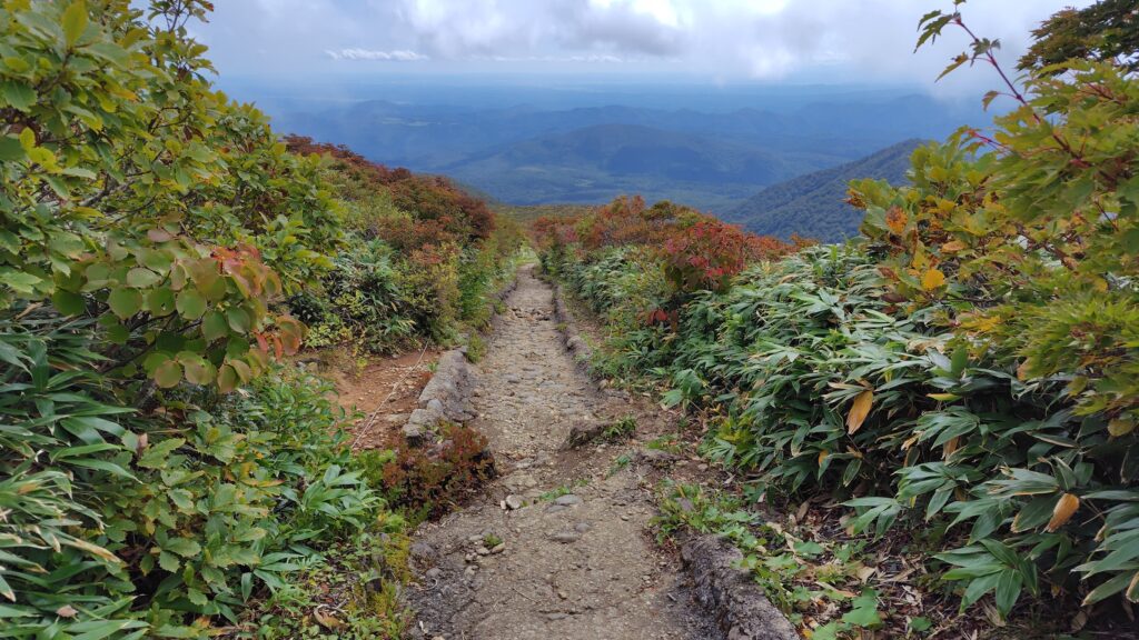 整備された中央コースの登山道