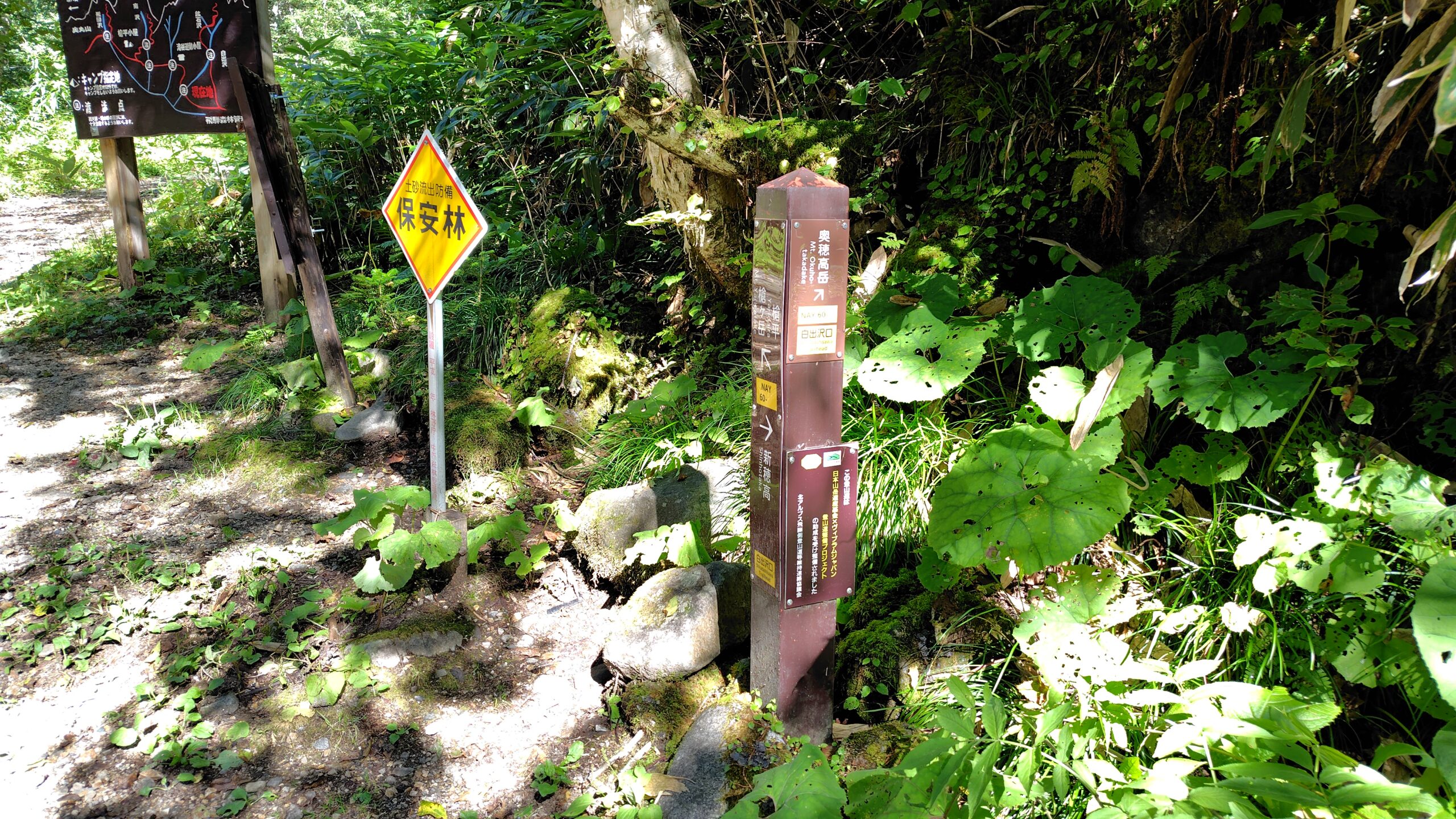 白出沢出合の分岐。林道から登山道へ入る地点の道標