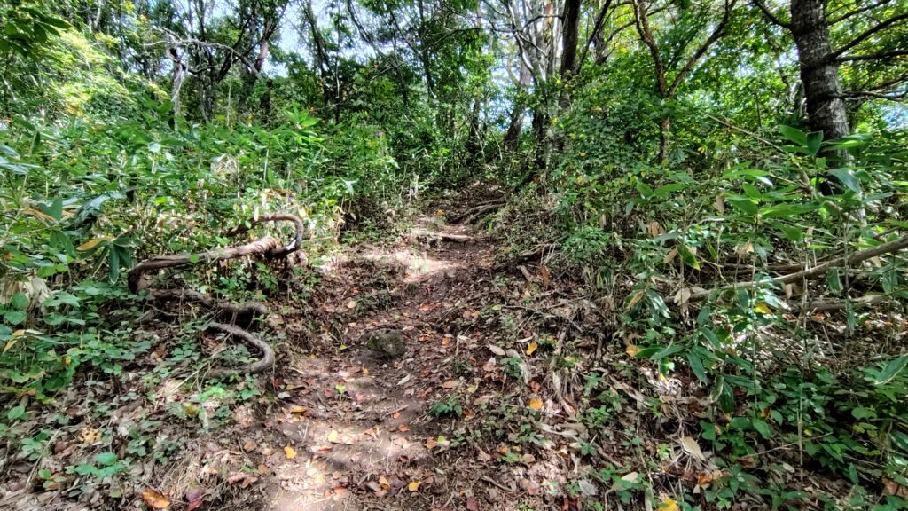 翁島登山口からいきなり始まる急登