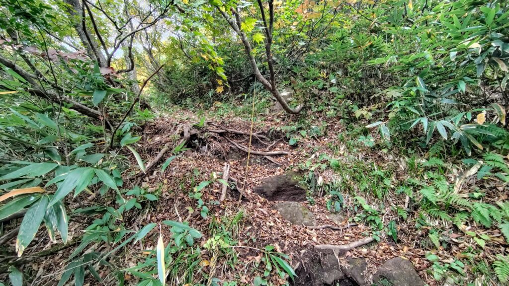 ロープが設置された岩場の取り付き