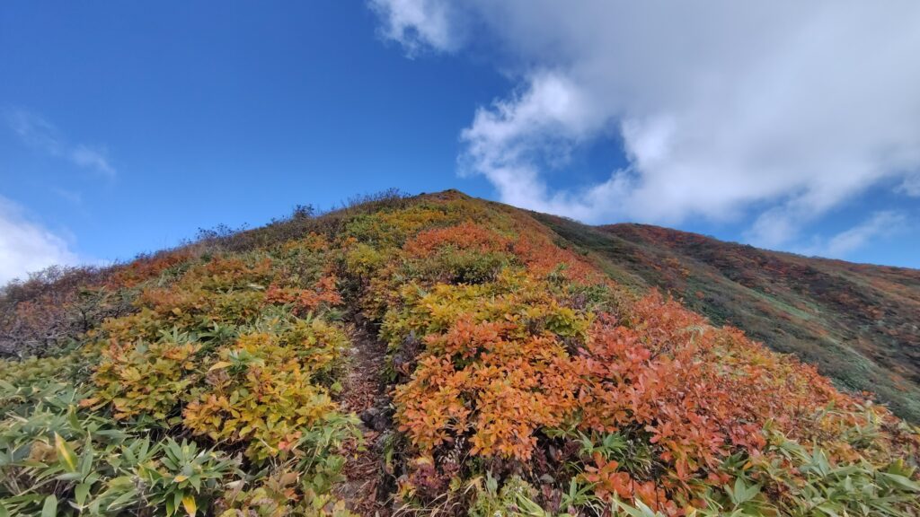 山頂までもう少しの登山道