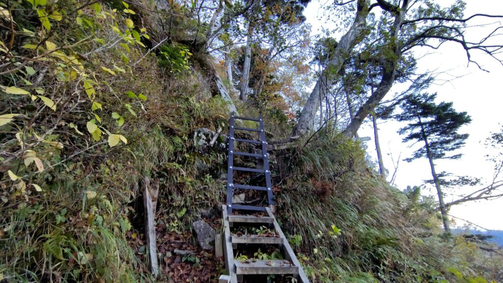 南岳新道の急登に架かるハシゴ