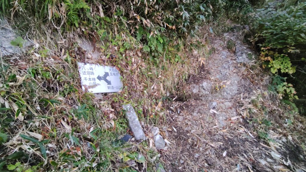 巻き道の途中にある新道との分岐