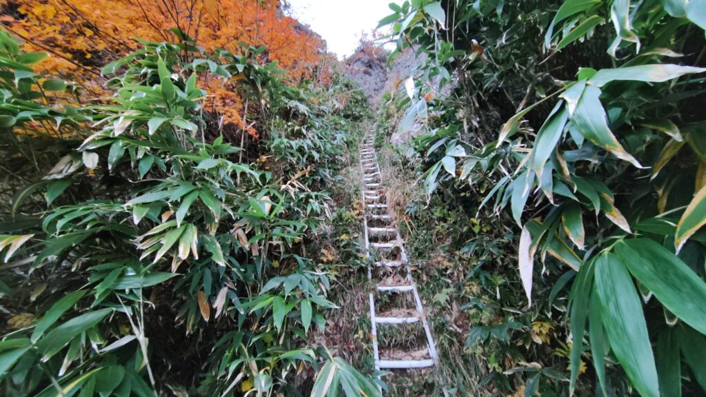 巻き道に架かる長いハシゴ