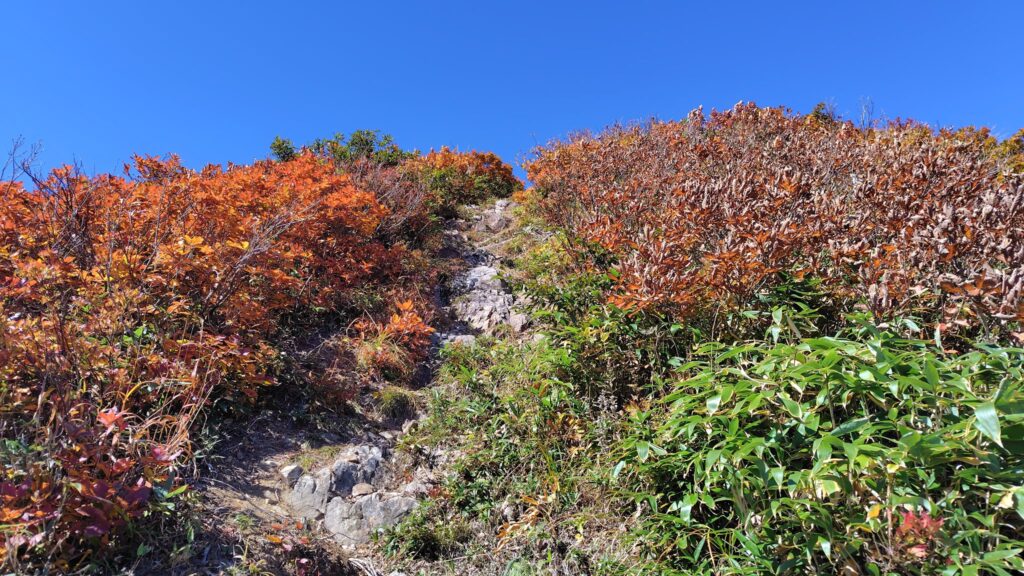紅葉の中を越後駒ヶ岳へ向かう稜線