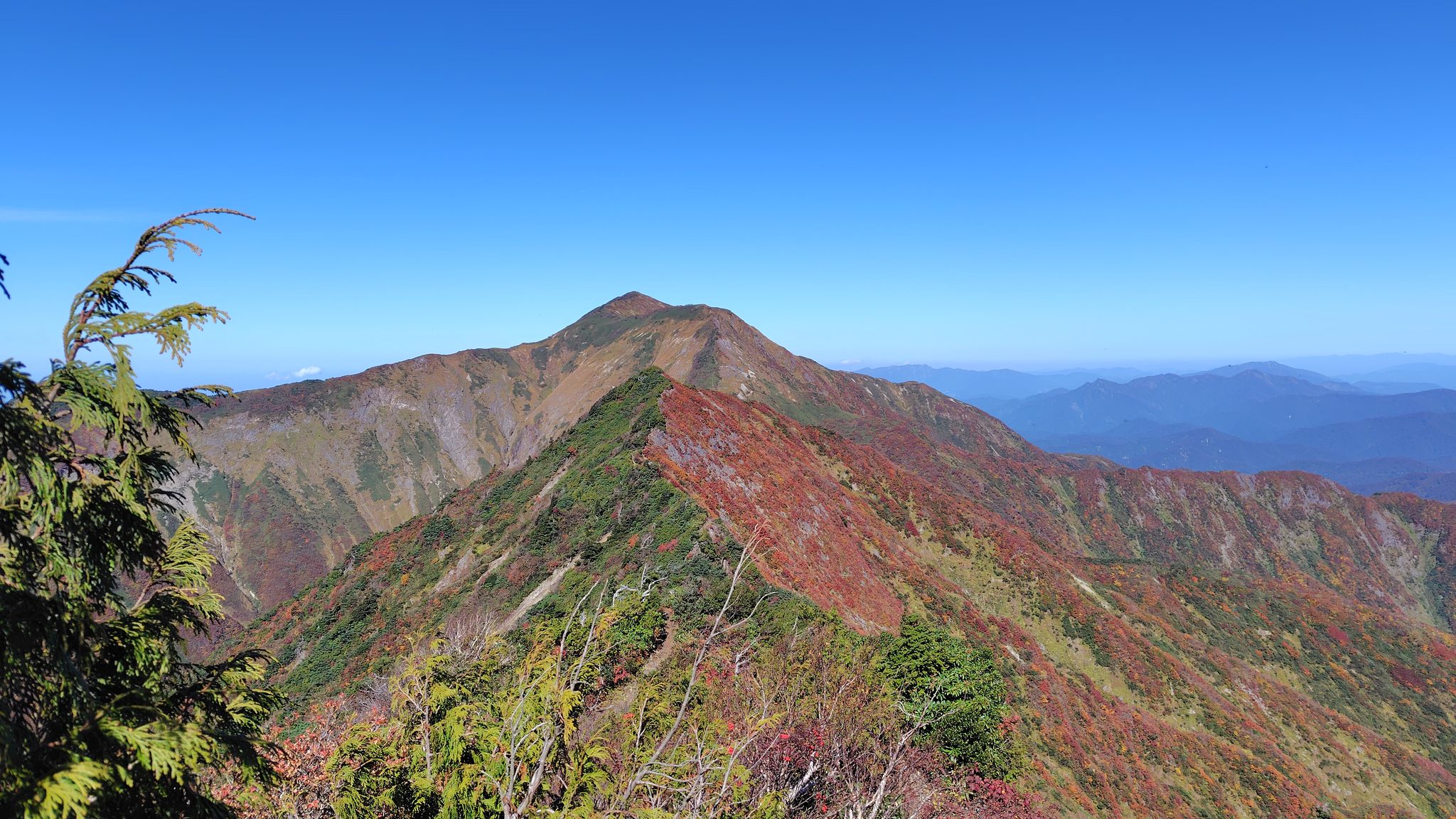 檜廊下付近から見た紅葉の稜線