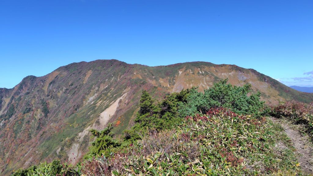 グシガハナから振り返った越後駒ヶ岳方面