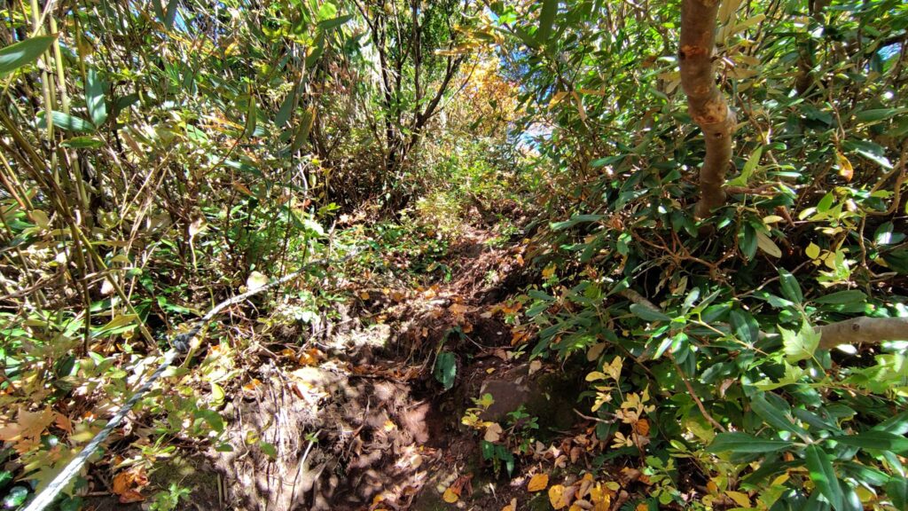 十二平登山口へ続く急な下り