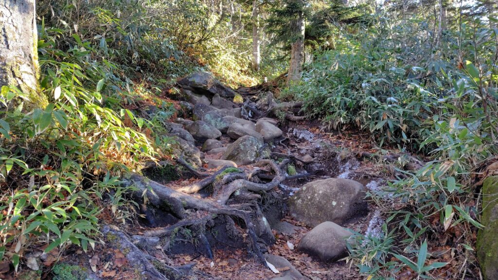 岩が多くなってきた登山道