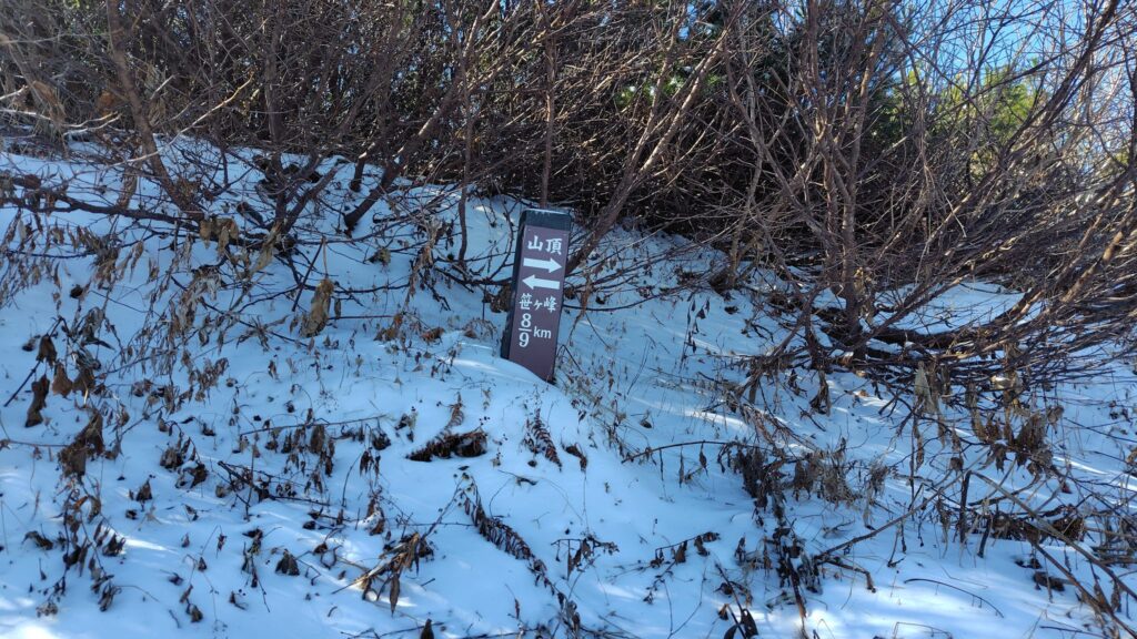 雪が残る山頂直下の登り