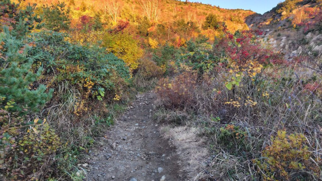 朝日に照らされた紅葉の中の登山道