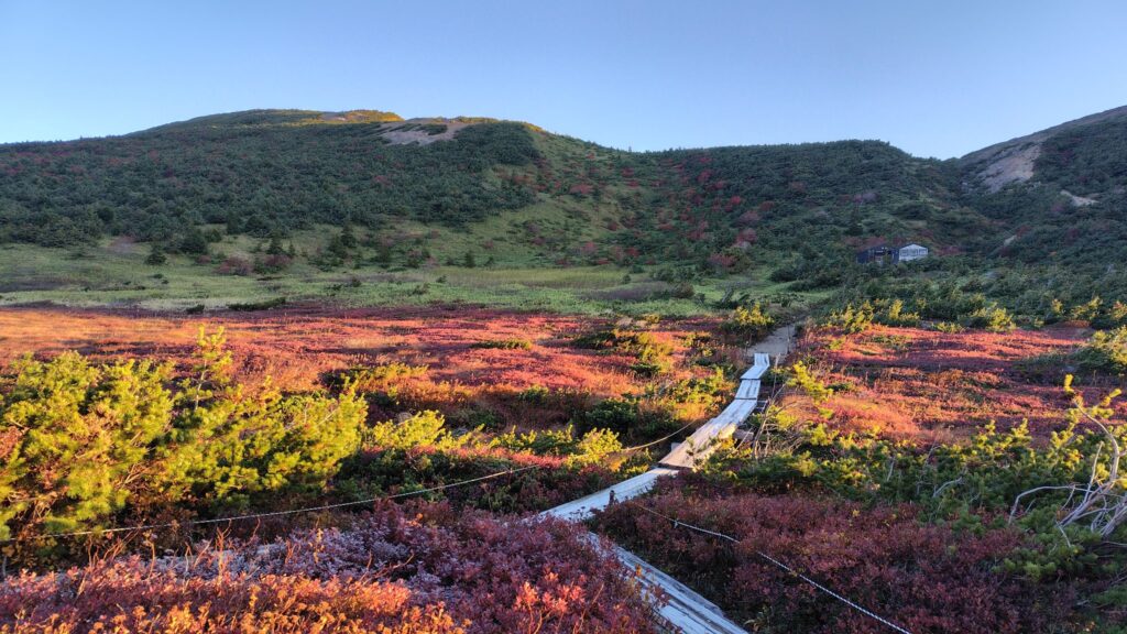 酸ヶ平の草紅葉と、鎌沼・一切経山の分岐へ続く木道