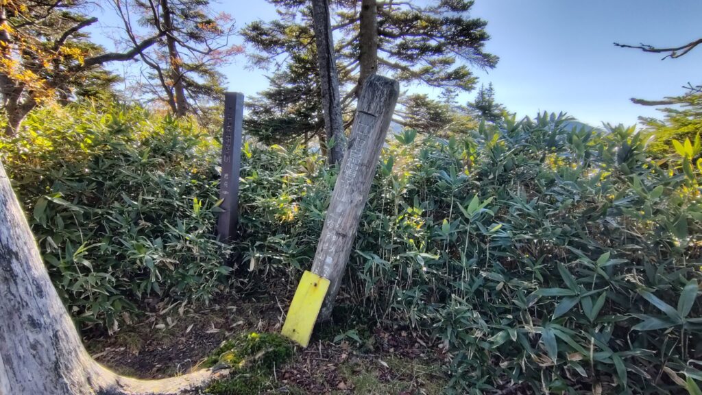 ニセ烏帽子山の山頂(標高1833m)