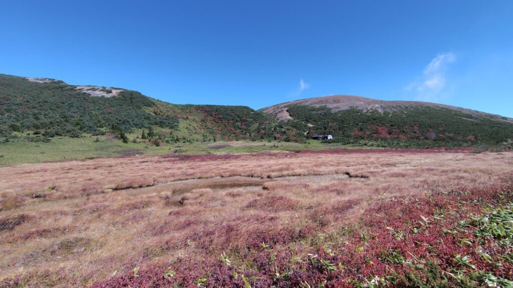 酸ヶ平の草紅葉越しに見た一切経山