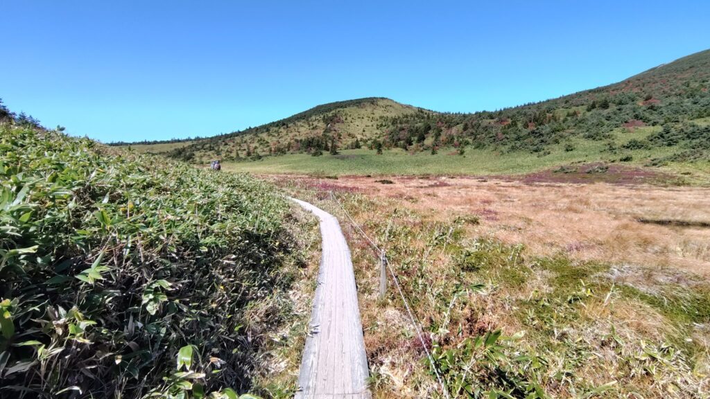 鎌沼へ続く木道の散策路