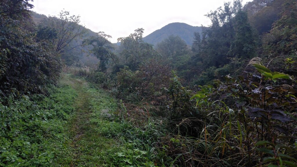 登山ポストから登山口へ続く道