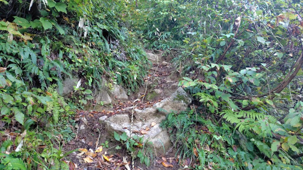 二口登山口から始まる急登