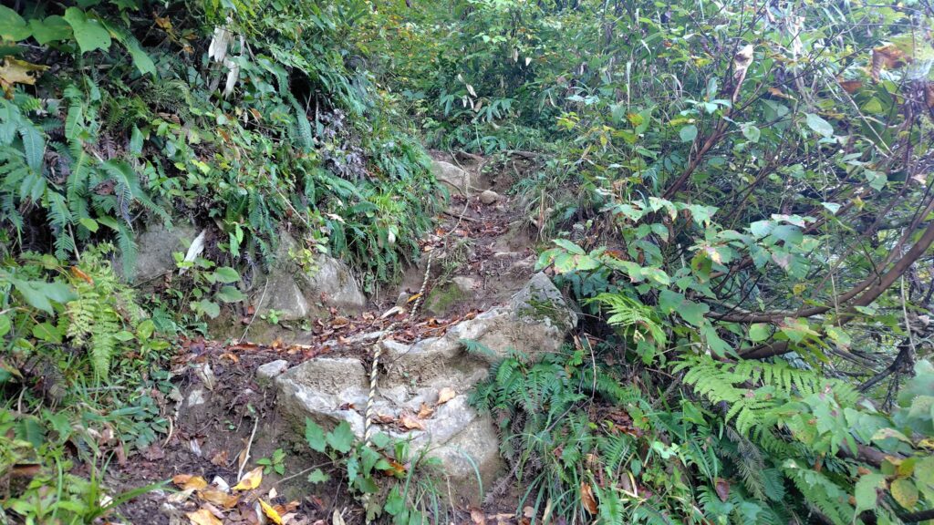 登山口直後の急登に張られたロープ