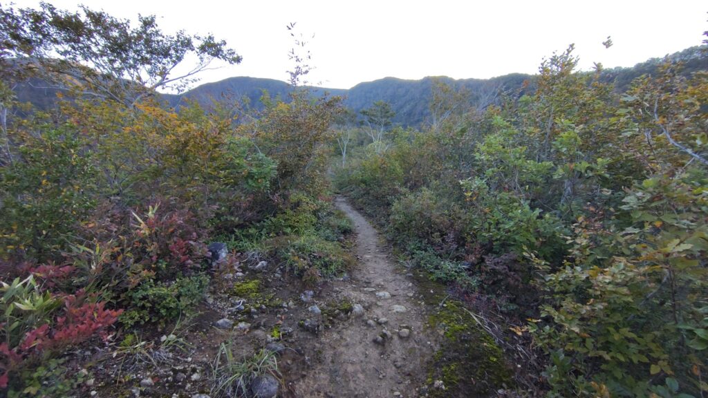 紅葉の始まった見晴らしのよい登山道