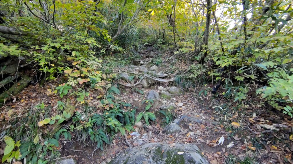 標高1200m付近から岩が多くなる登山道