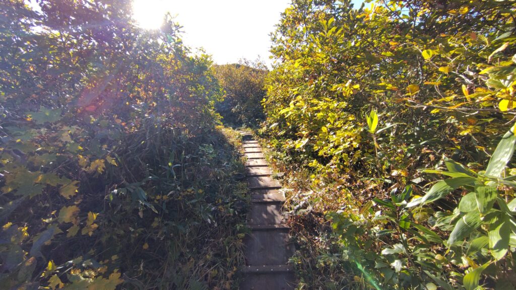 木道が続く守門岳の稜線