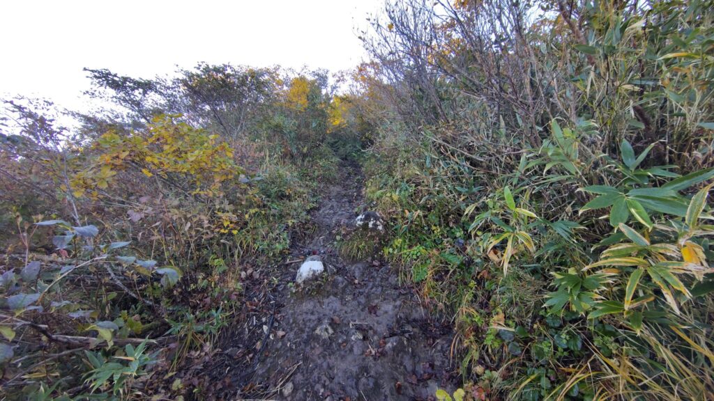 守門岳の山頂直下の岩場