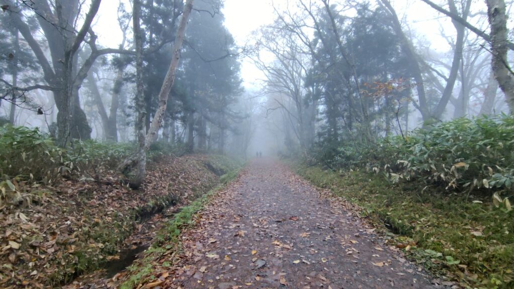 霧の中に続く戸隠神社奥社の参道