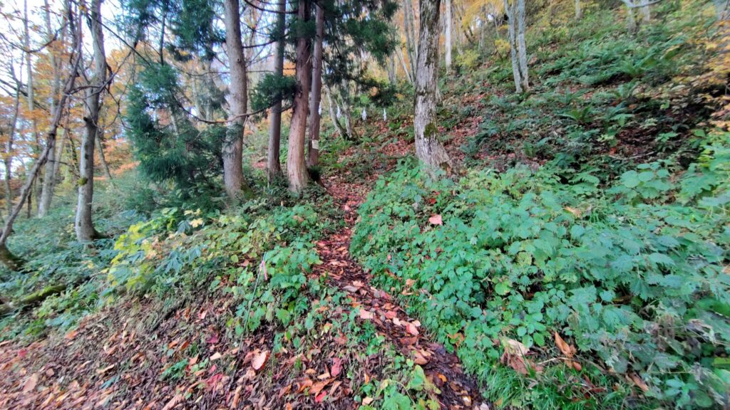 戸隠神社奥社の脇にある戸隠山の登山口
