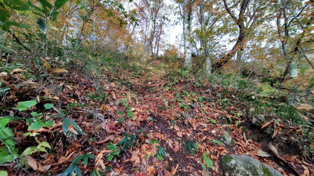 登山口からいきなり始まる急登