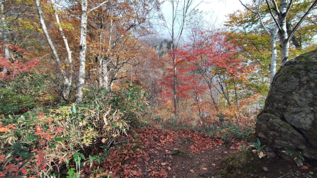 急登の途中で見た紅葉