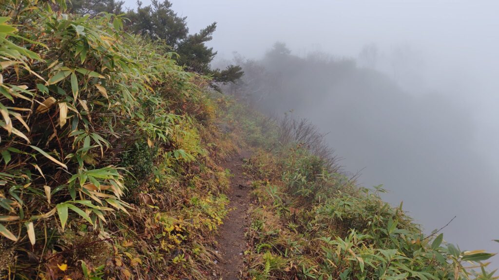 八方睨から戸隠山へ続く歩きやすい道