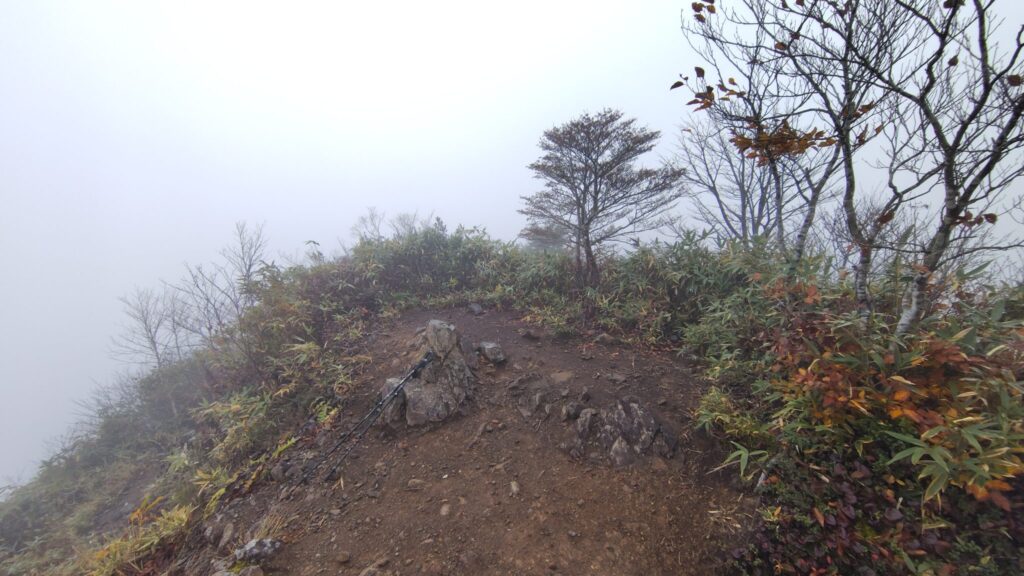 ガスに包まれた戸隠山の山頂付近