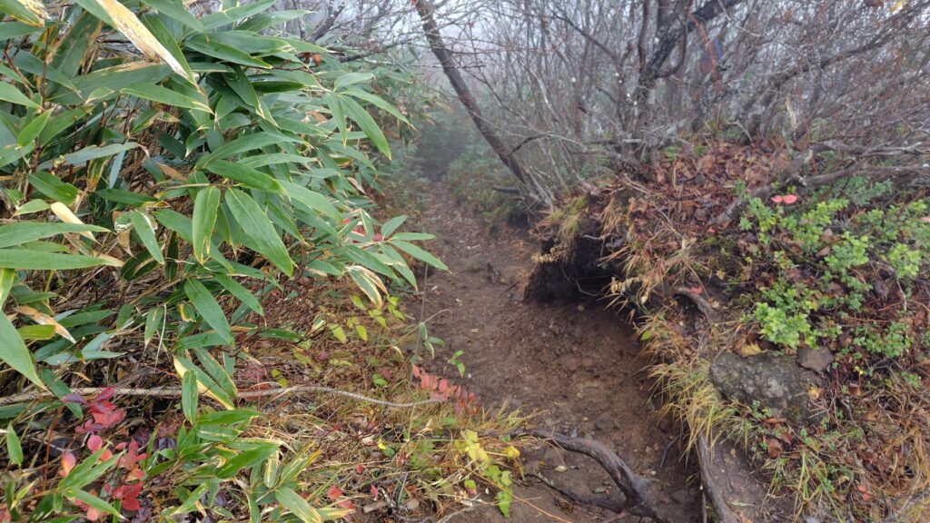 戸隠山から九頭龍山へ向かう滑りやすい急な下り