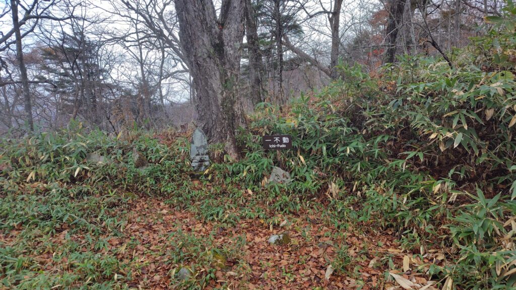 一不動避難小屋から始まる十三仏の小ピークの道