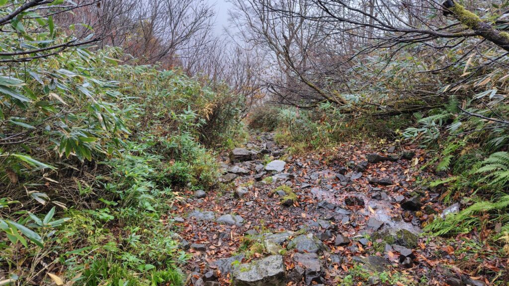 一不動避難小屋から沢沿いに下る登山道