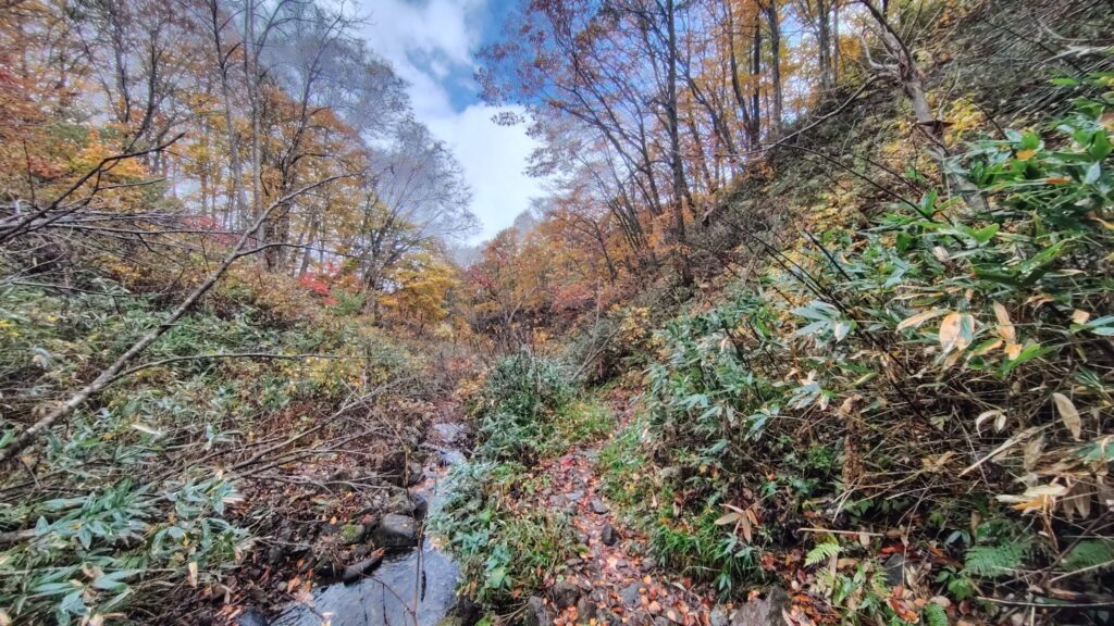 沢沿いの道の下の方で見た紅葉
